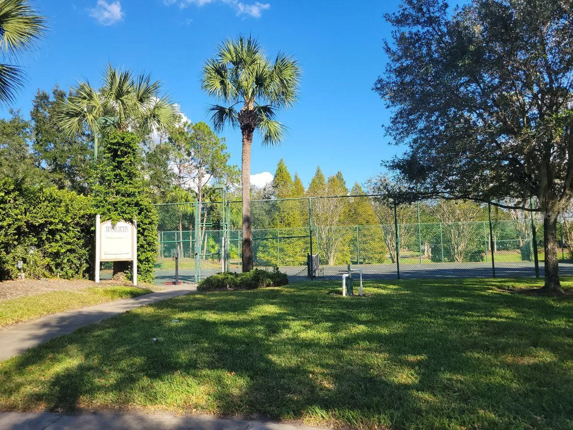 17110 Carrington Park Drive Tampa FL 33647