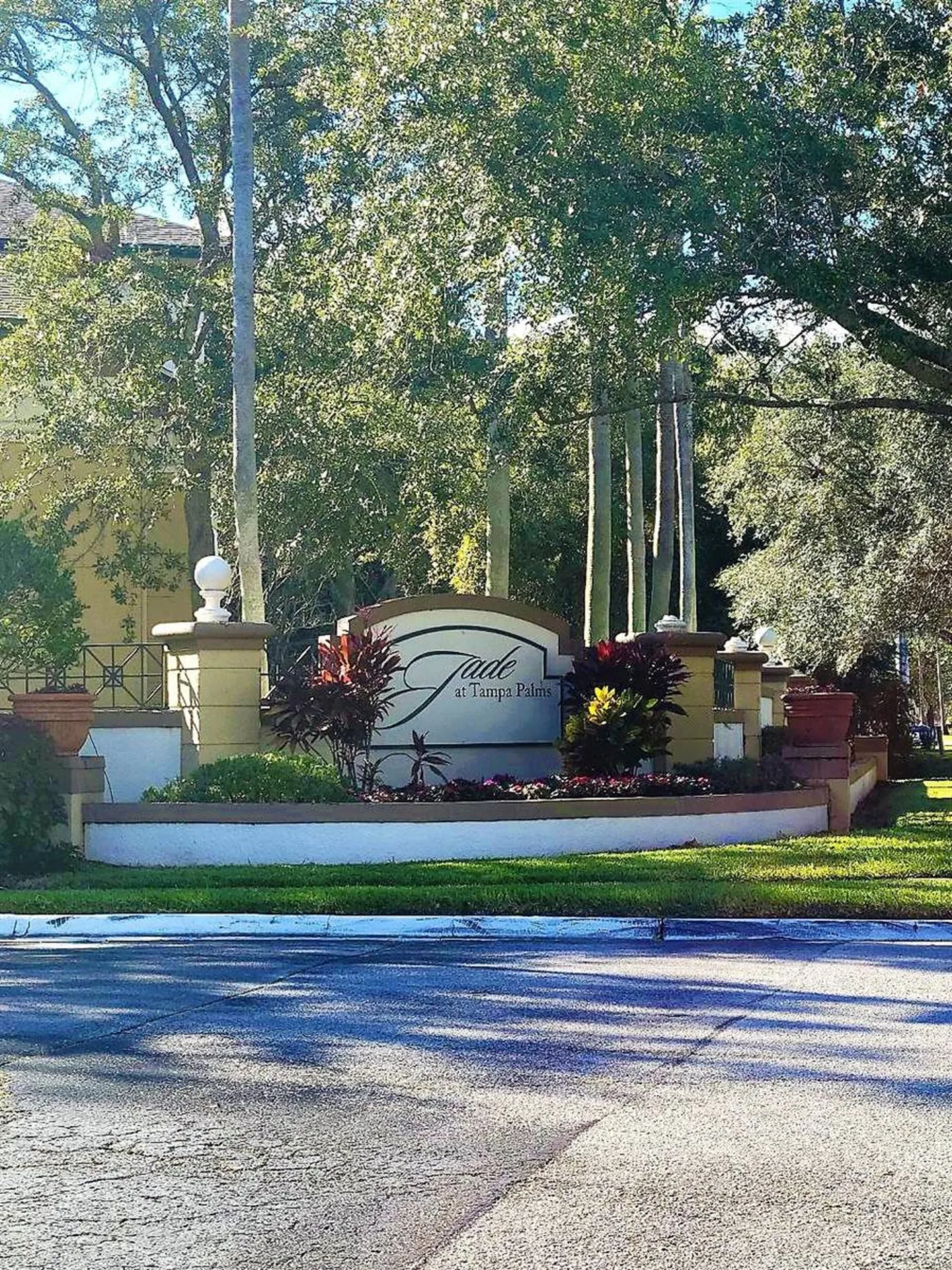 17110 Carrington Park Drive Tampa FL 33647