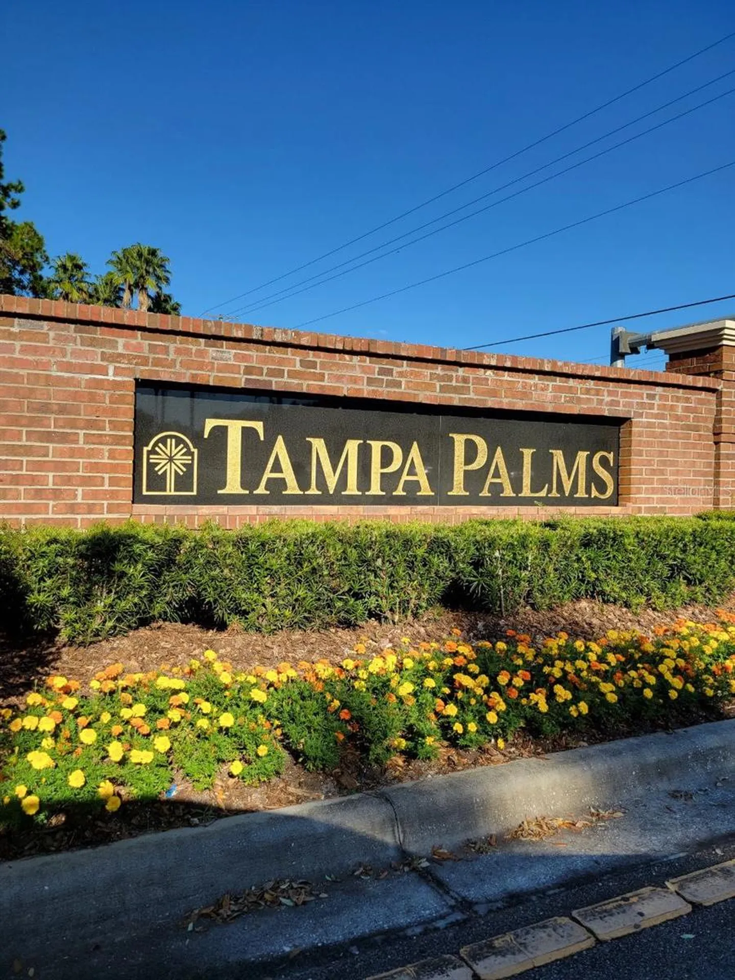 17110 Carrington Park Drive Tampa FL 33647
