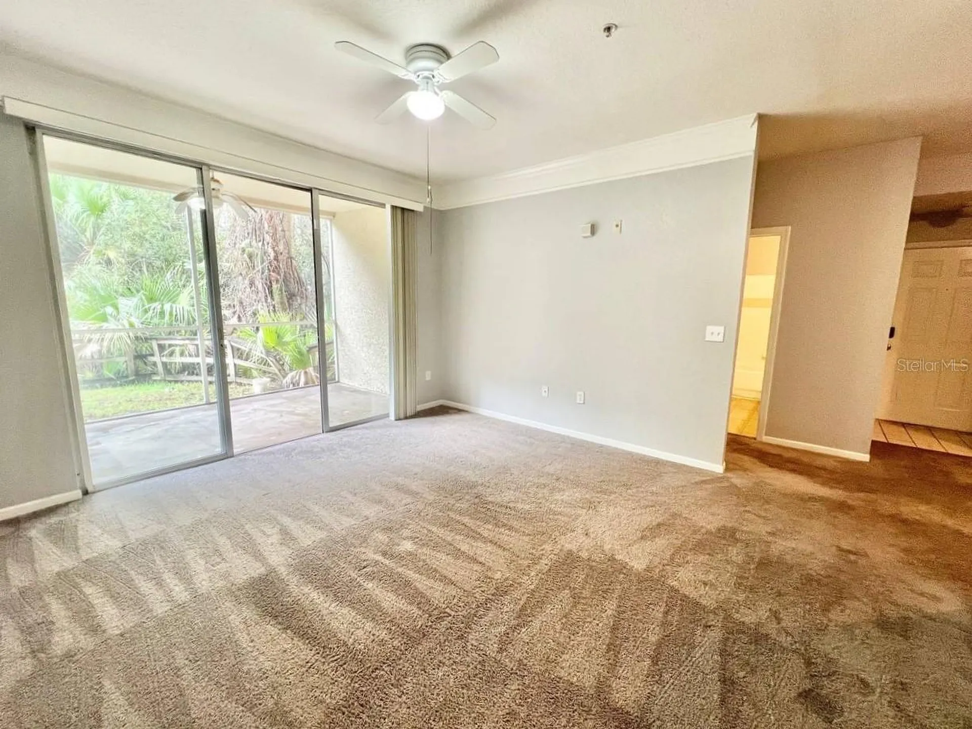 17110 Carrington Park Drive Tampa FL 33647