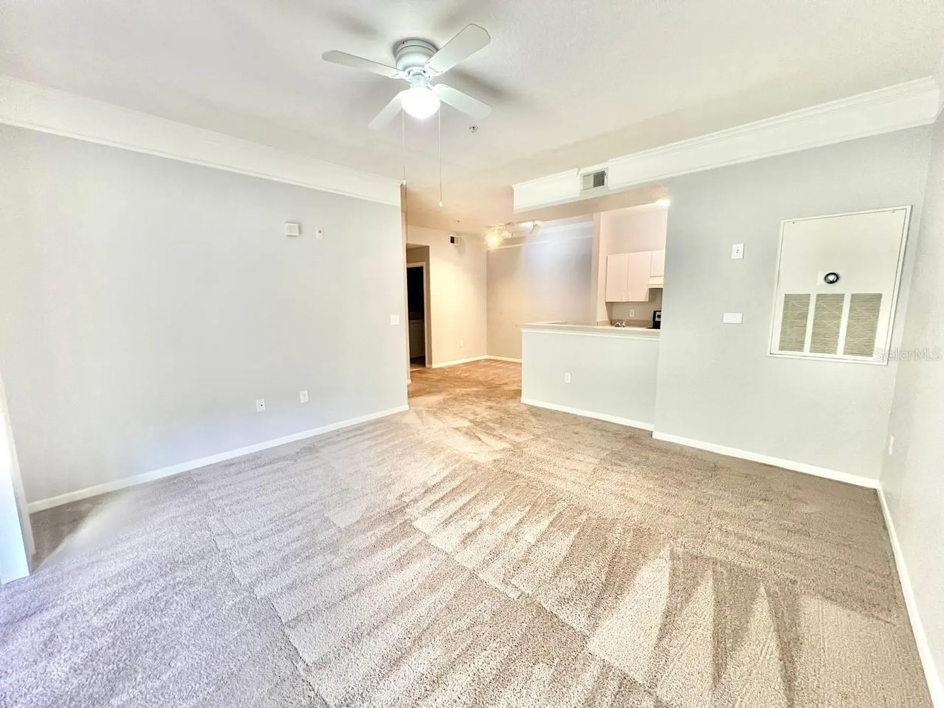 17110 Carrington Park Drive Tampa FL 33647