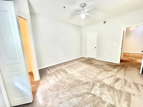 17110 Carrington Park Drive Tampa FL 33647