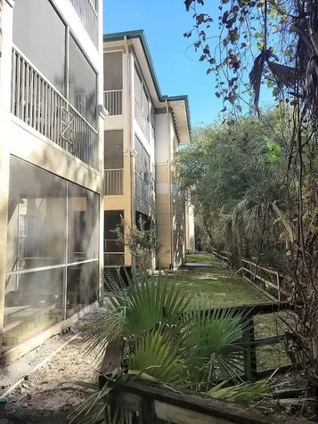 17110 Carrington Park Drive Tampa FL 33647