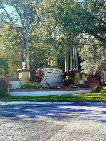 17110 Carrington Park Drive Tampa FL 33647
