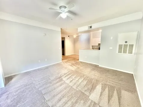 17110 Carrington Park Drive Tampa FL 33647