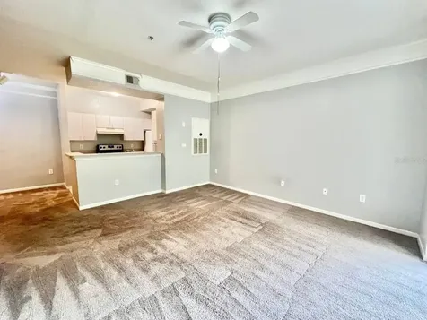 17110 Carrington Park Drive Tampa FL 33647