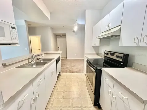 17110 Carrington Park Drive Tampa FL 33647