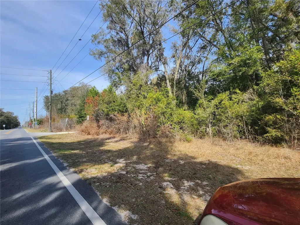 Tbd SE 145 Street Summerfield FL 34491