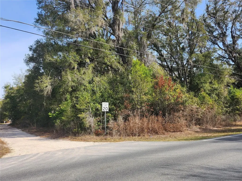 Tbd SE 145 Street Summerfield FL 34491