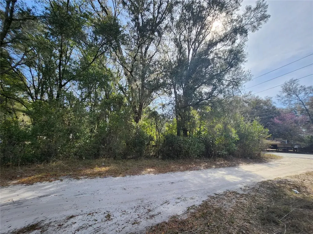 Tbd SE 145 Street Summerfield FL 34491