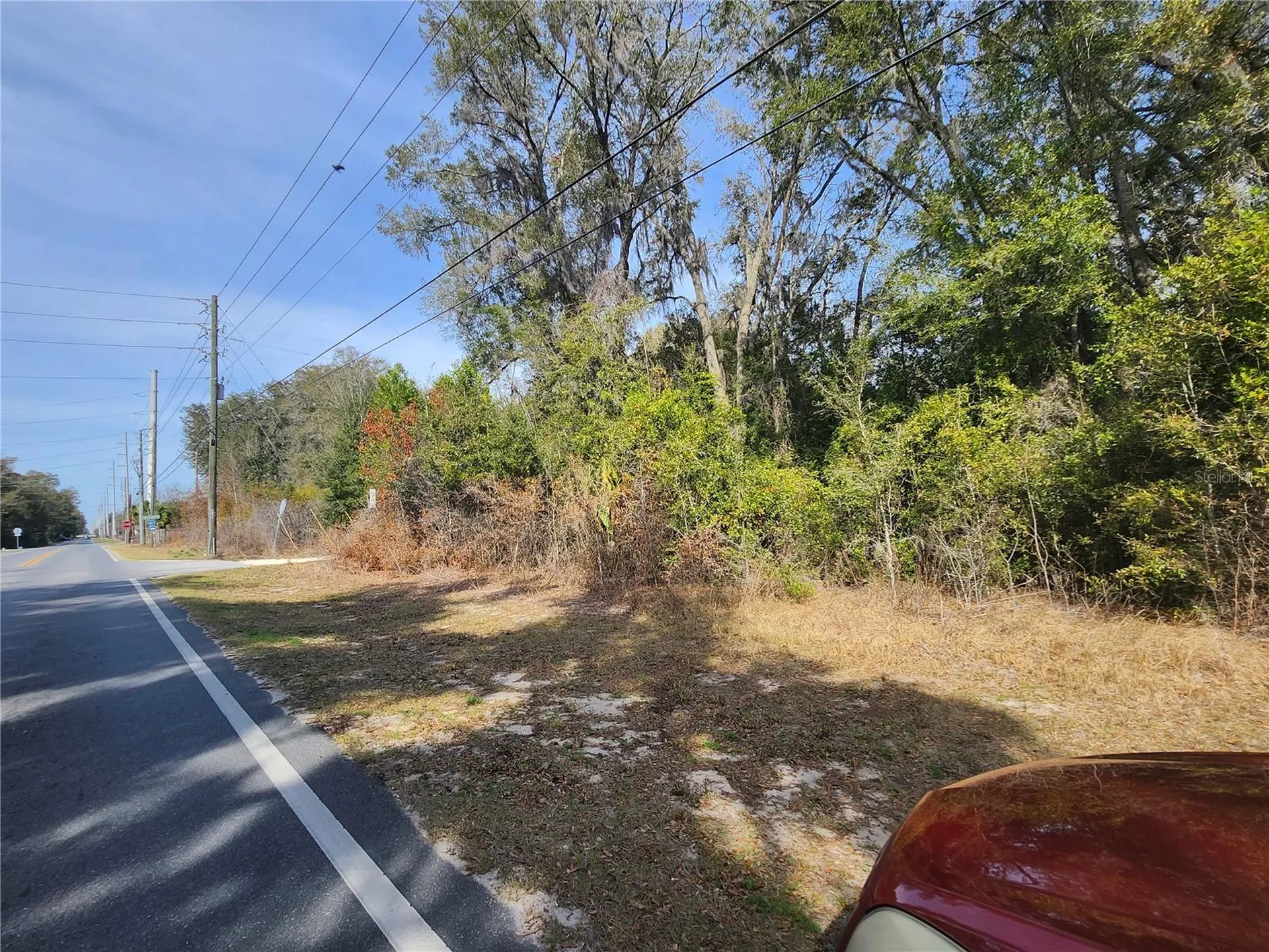 Tbd SE 145 Street Summerfield FL 34491