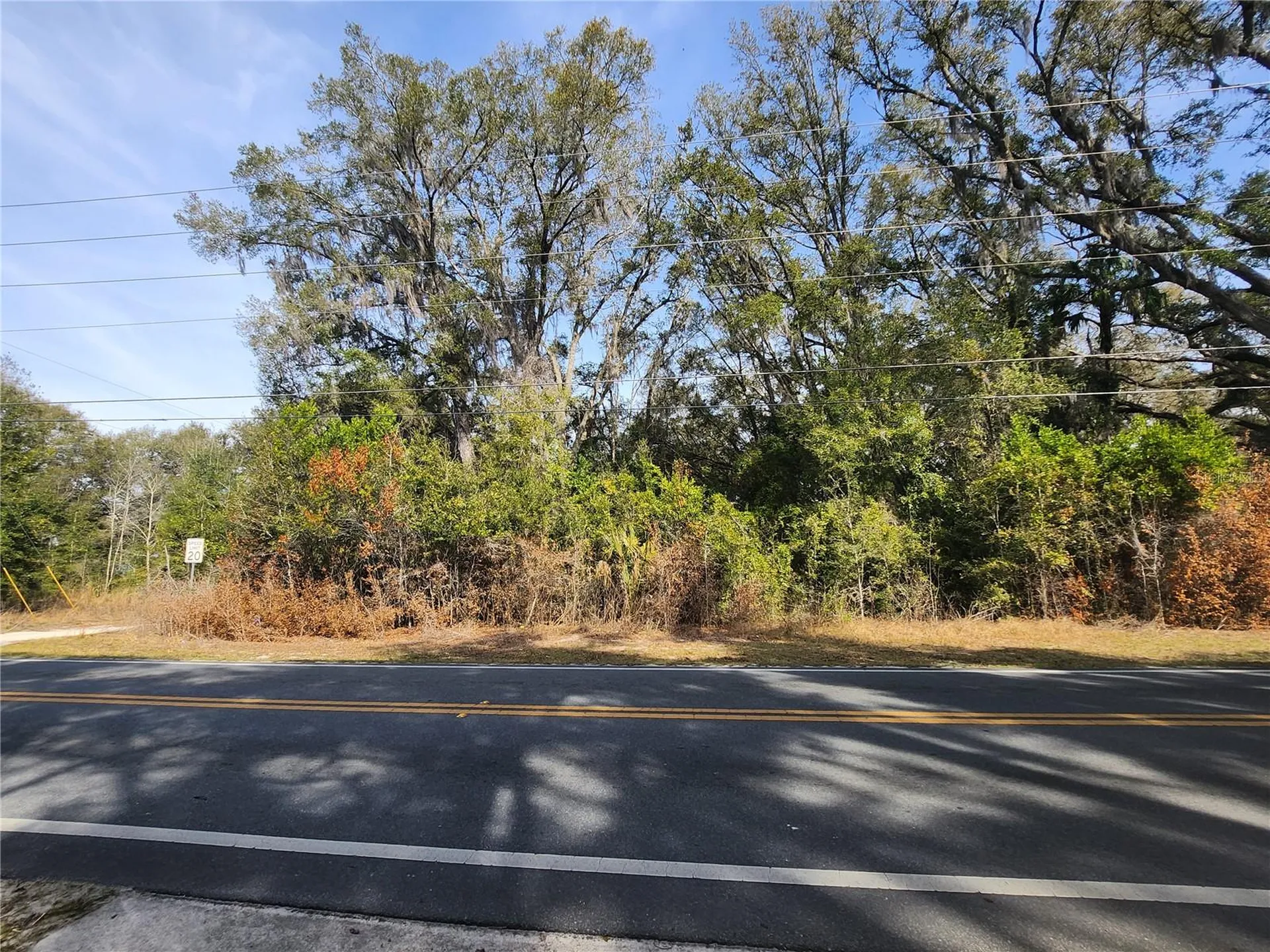 Tbd SE 145 Street Summerfield FL 34491