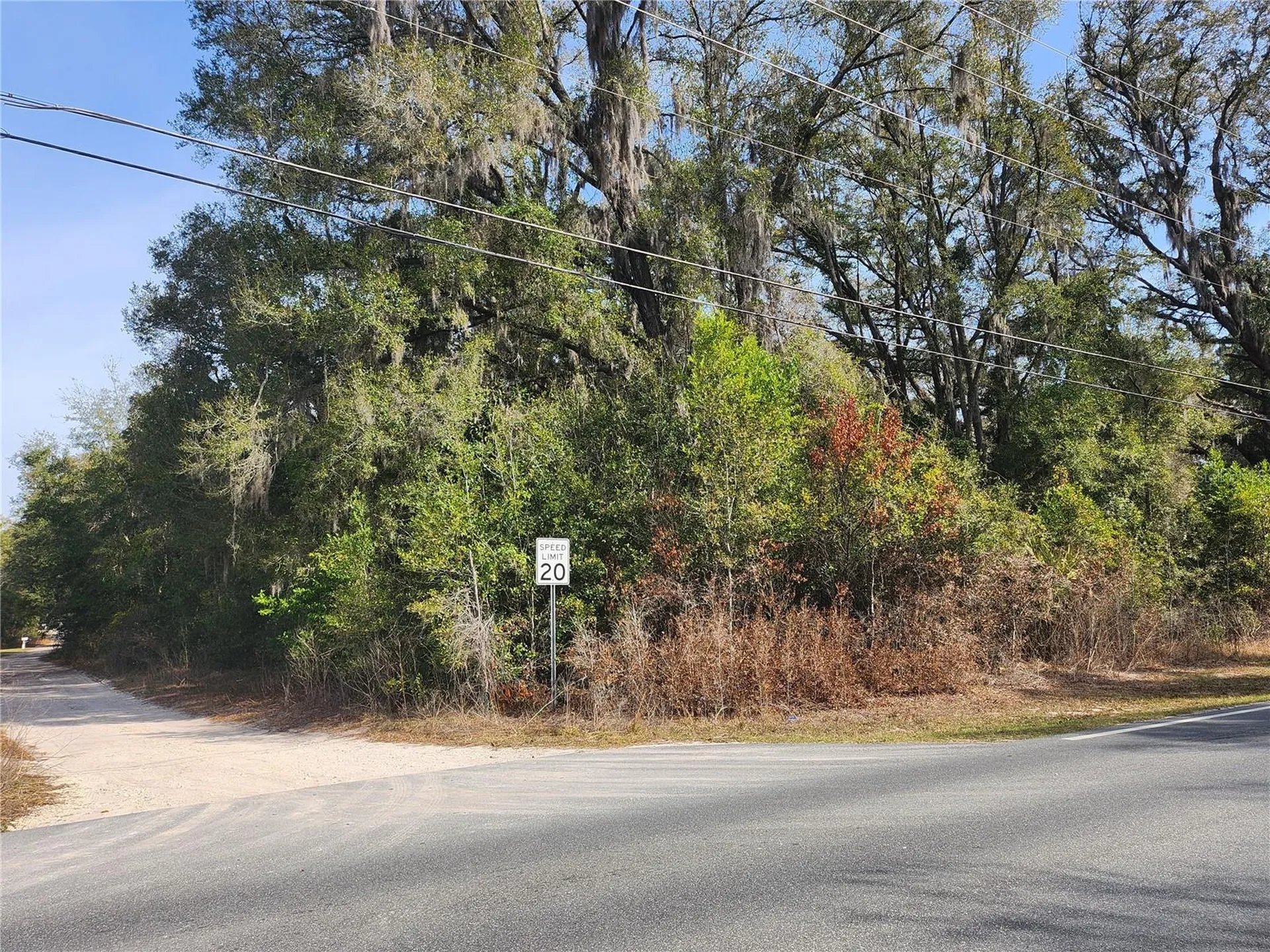 Tbd SE 145 Street Summerfield FL 34491