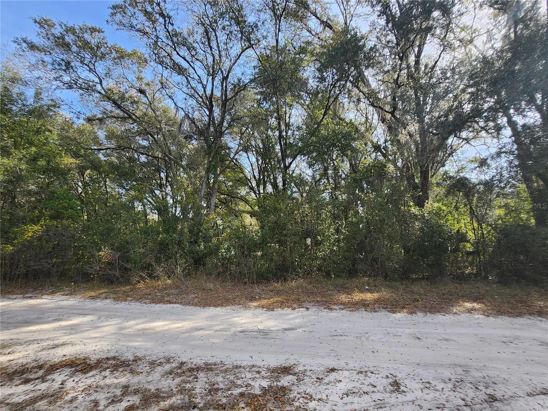 Tbd SE 145 Street Summerfield FL 34491