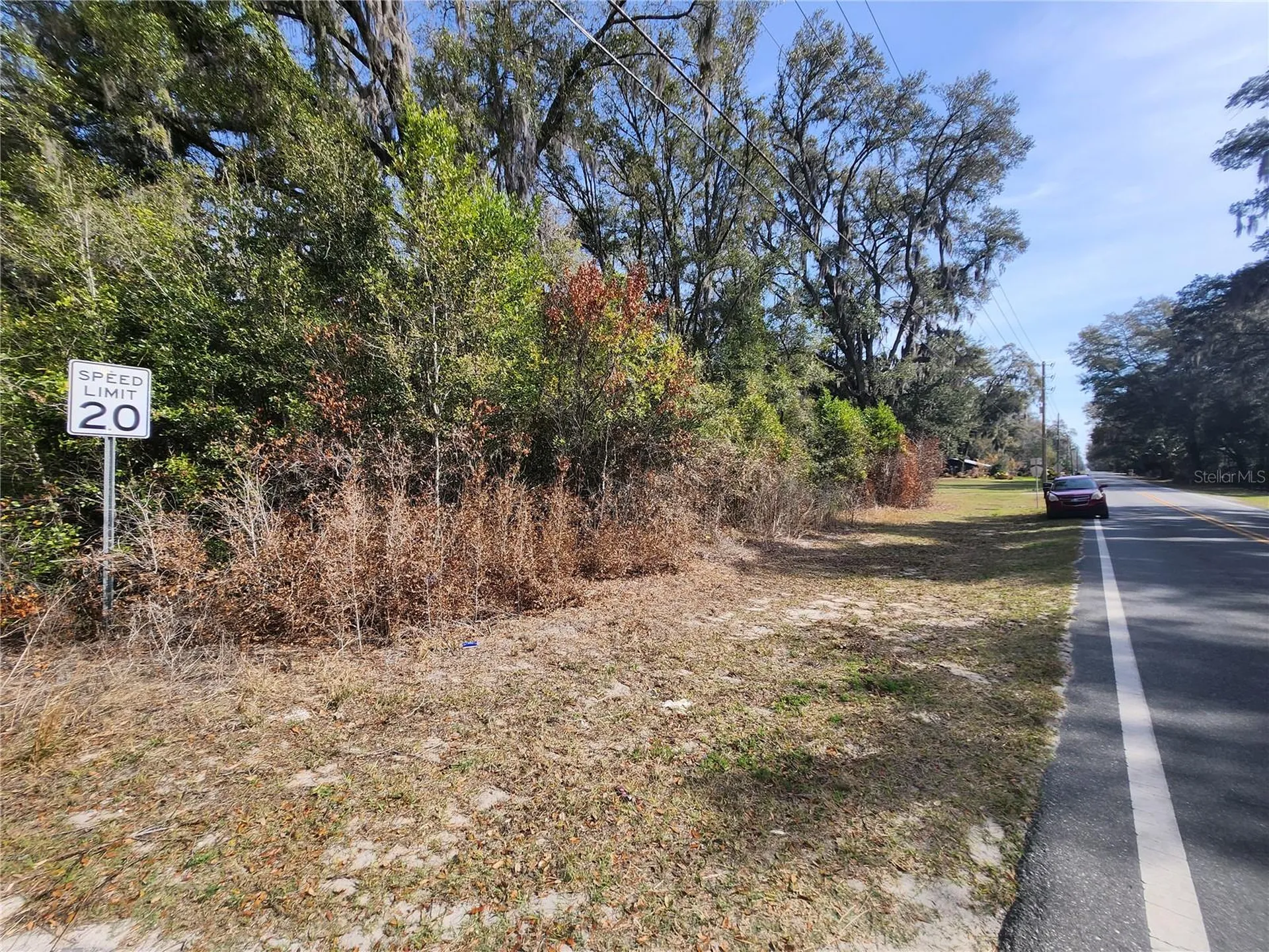 Tbd SE 145 Street Summerfield FL 34491