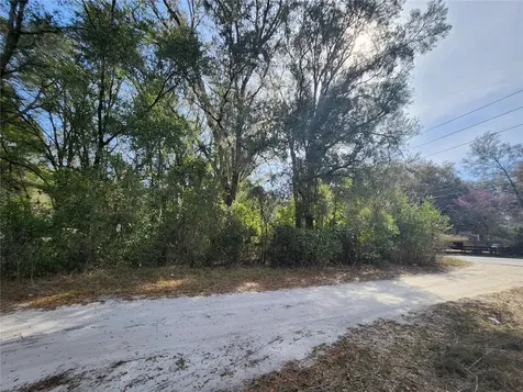 Tbd SE 145 Street Summerfield FL 34491