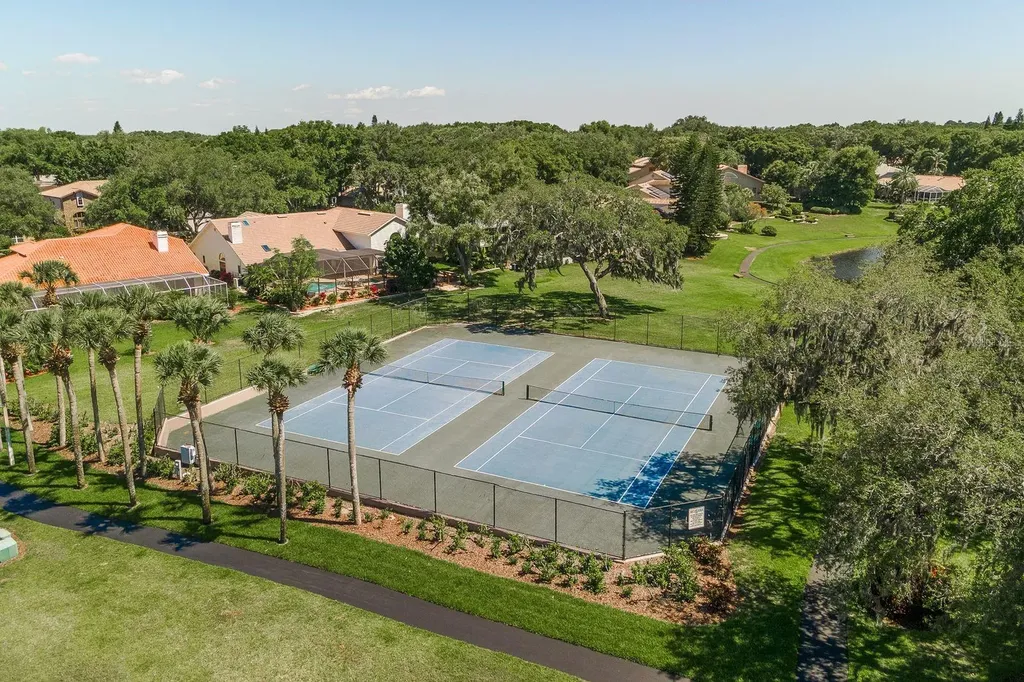 3472 Shoreline Circle Palm Harbor FL 34684
