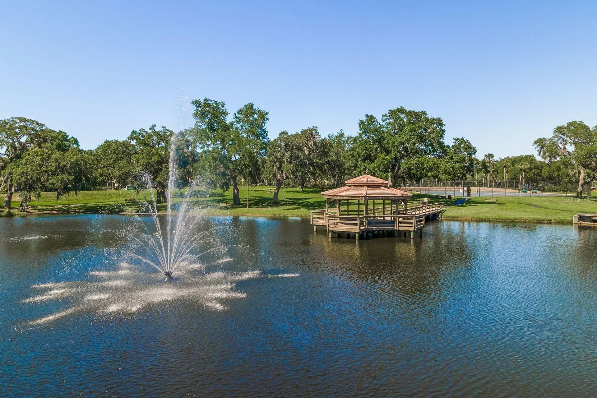 3472 Shoreline Circle Palm Harbor FL 34684