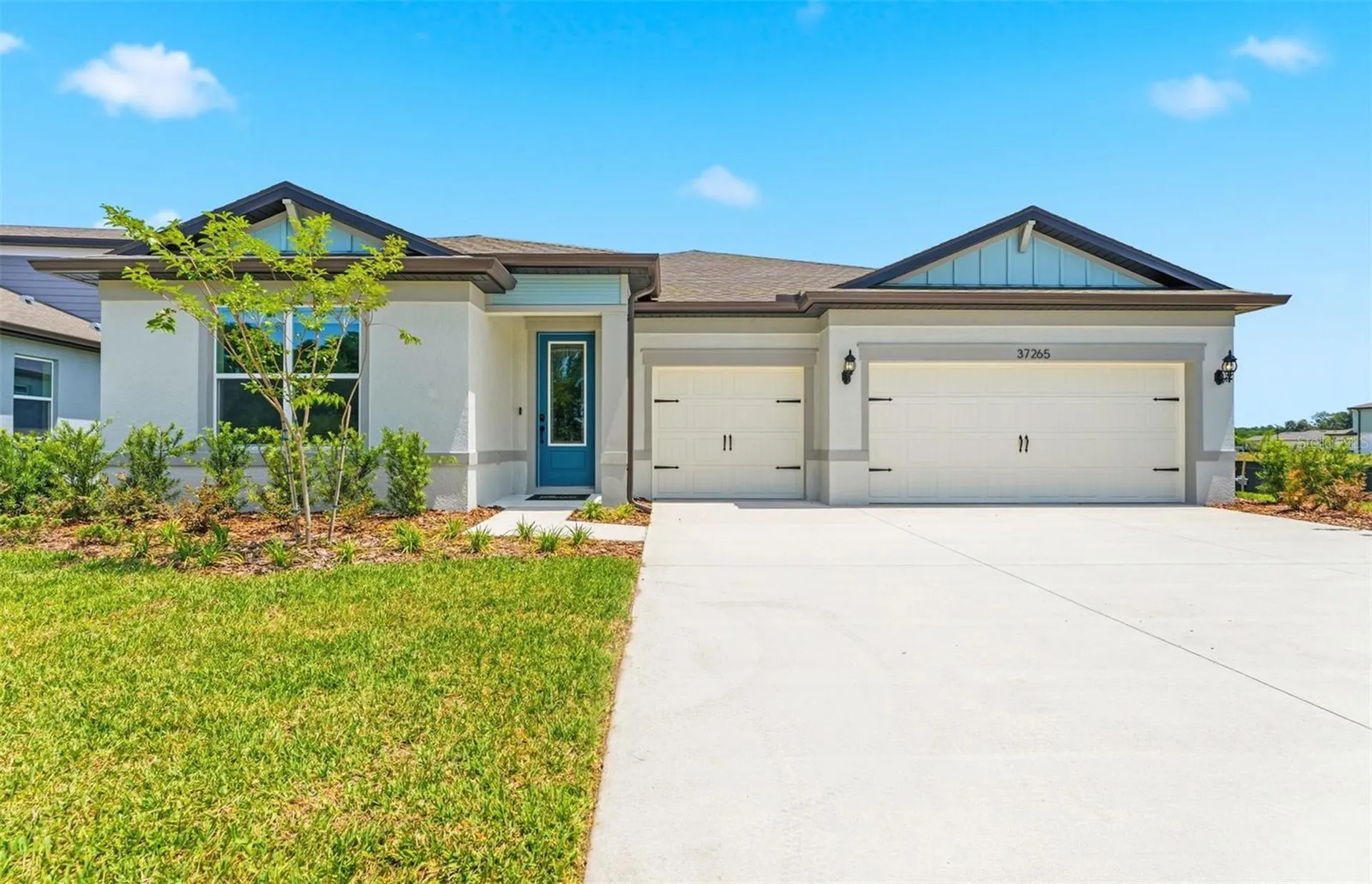 37265 Gunnison Drive Zephyrhills FL 33540
