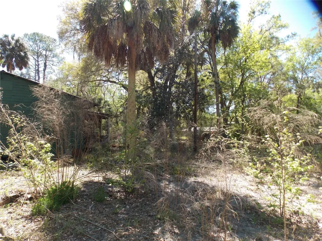 922 SE 119th Avenue Micanopy FL 32667