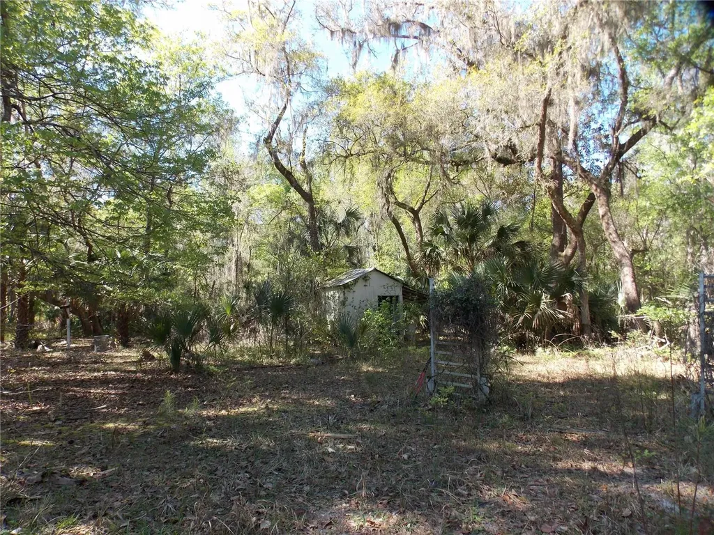 922 SE 119th Avenue Micanopy FL 32667