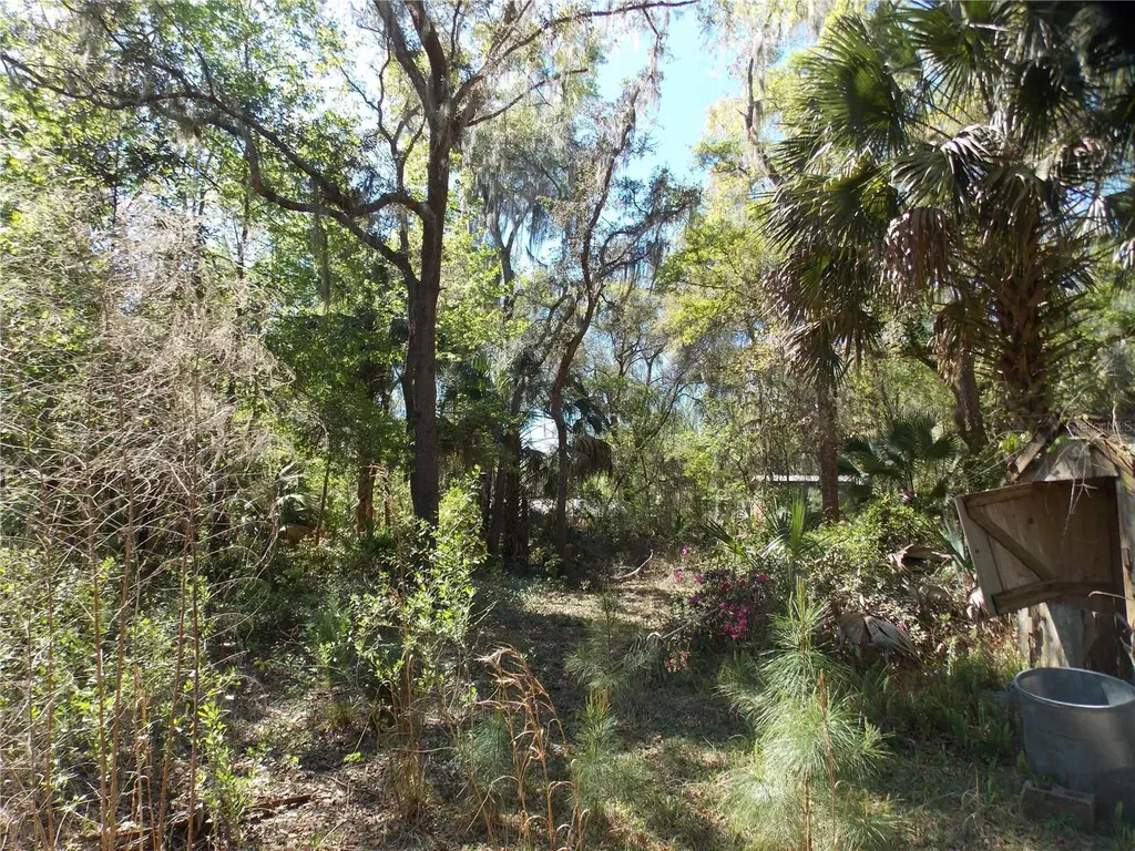 922 SE 119th Avenue Micanopy FL 32667