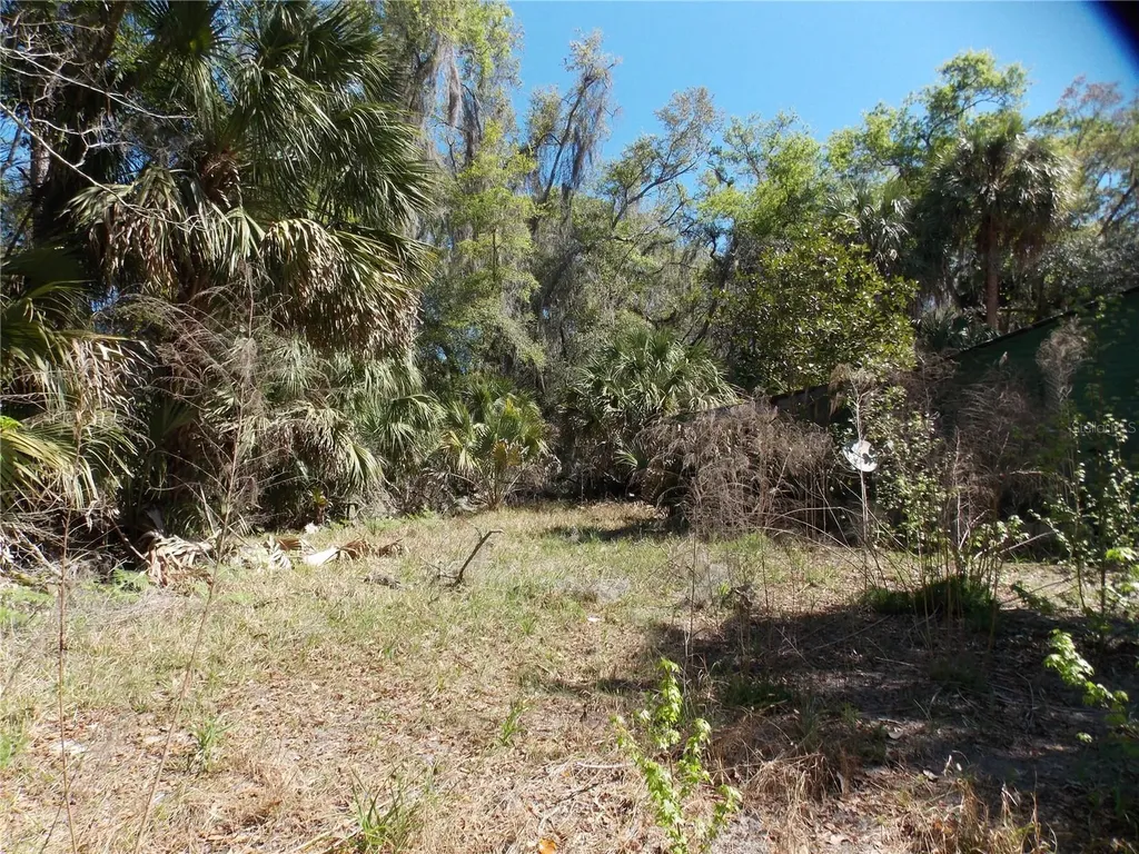 922 SE 119th Avenue Micanopy FL 32667