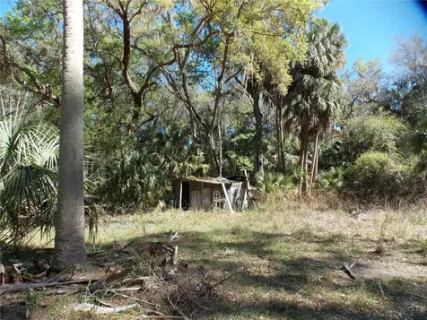 922 SE 119th Avenue Micanopy FL 32667