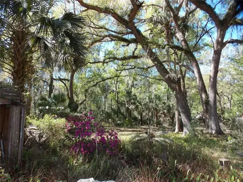 922 SE 119th Avenue Micanopy FL 32667