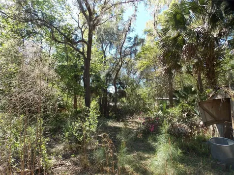 922 SE 119th Avenue Micanopy FL 32667