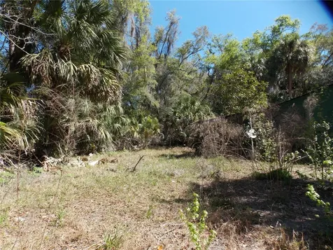 922 SE 119th Avenue Micanopy FL 32667