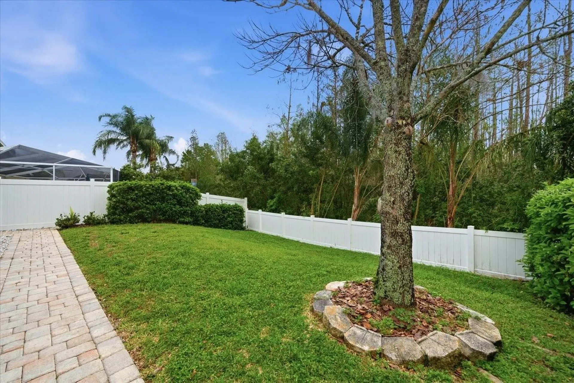 4250 Pine Isle Drive Lutz FL 33558