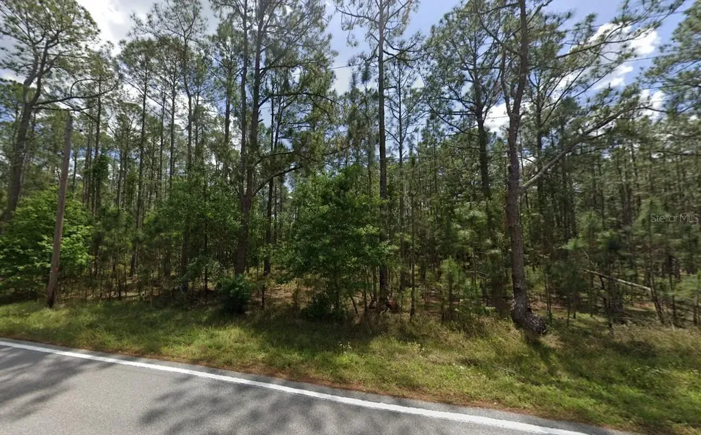 Poyner Oaks Road N Polk City FL 33868