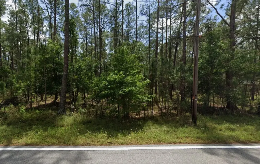 Poyner Oaks Road N Polk City FL 33868