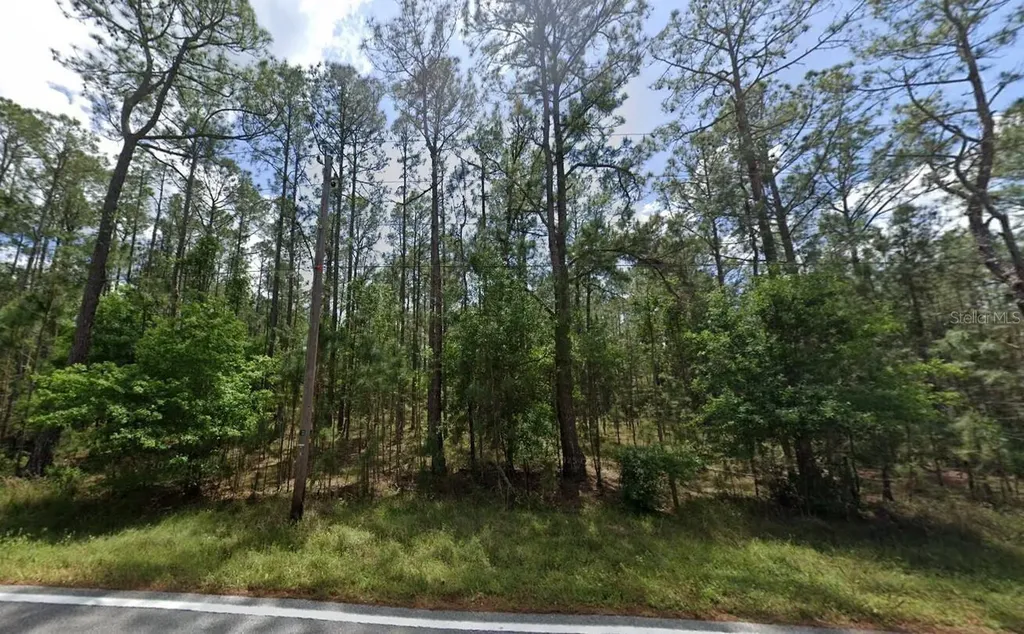 Poyner Oaks Road N Polk City FL 33868