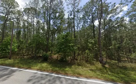 Poyner Oaks Road N Polk City FL 33868