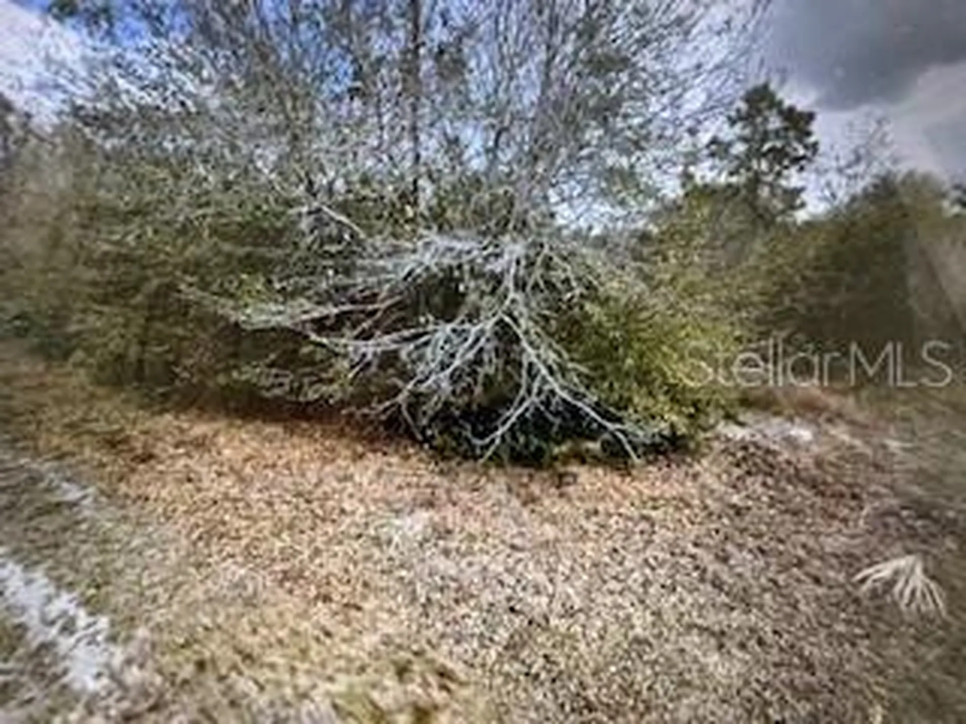 13274 Caloosa Drive Punta Gorda FL 33955