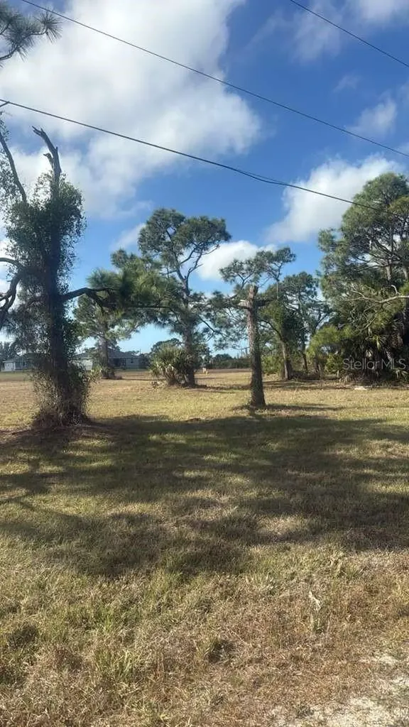 19 Carline Lane Placida FL 33946