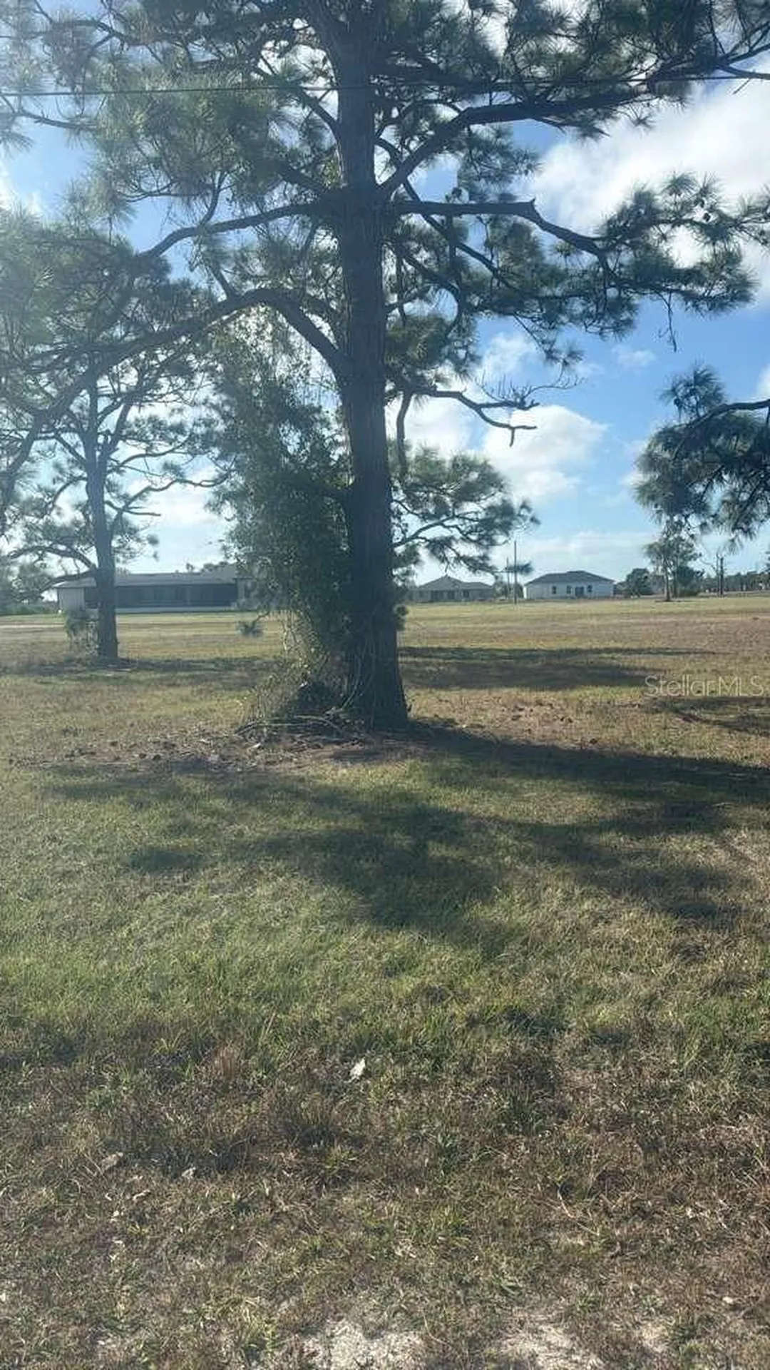 19 Carline Lane Placida FL 33946