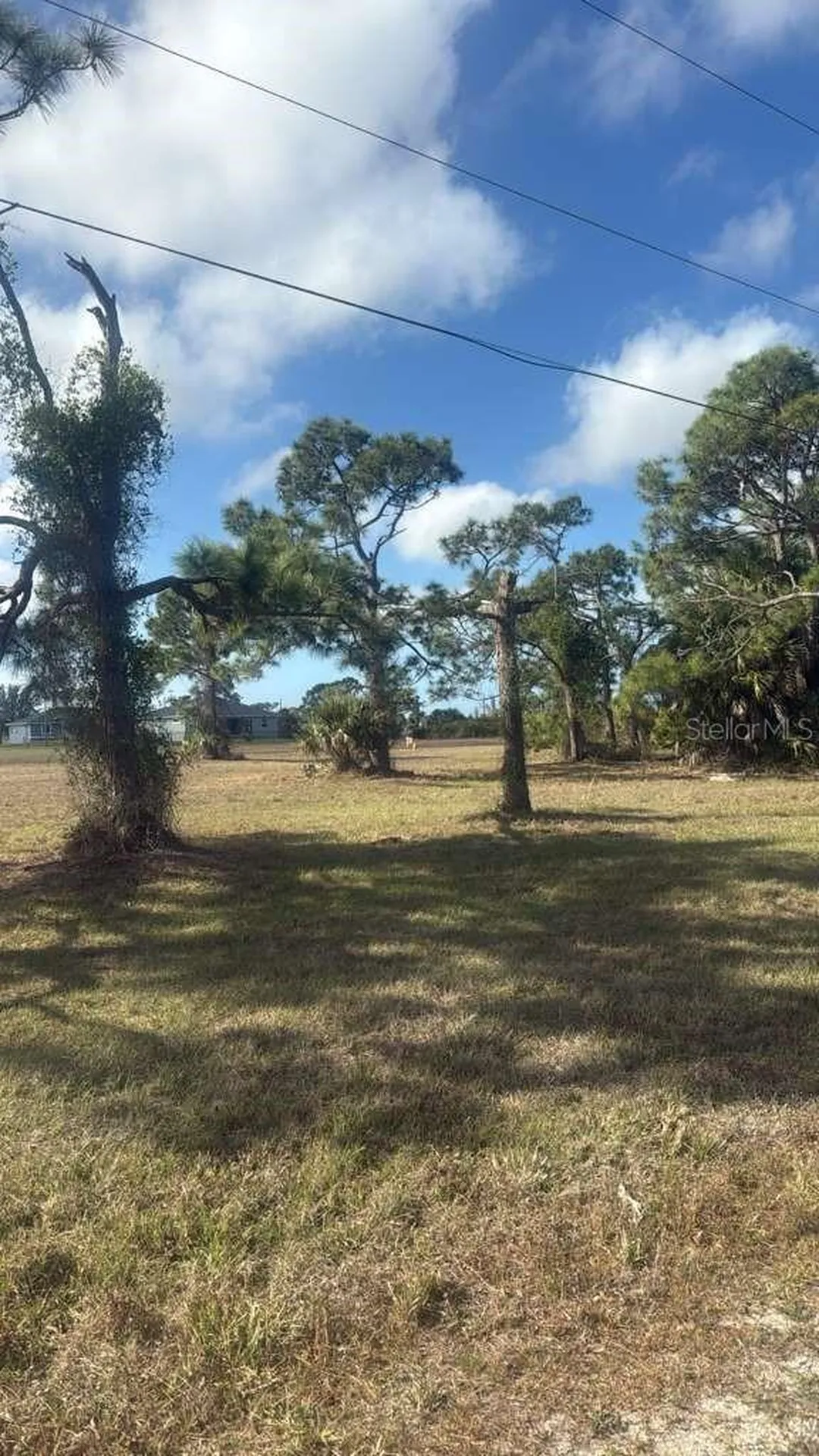 19 Carline Lane Placida FL 33946