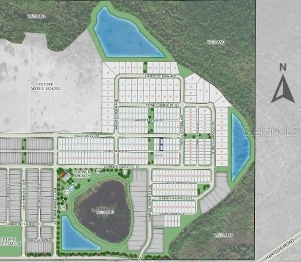 14748 Field Daisy Drive Winter Garden FL 34787