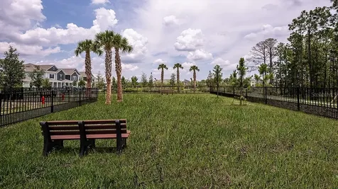 14748 Field Daisy Drive Winter Garden FL 34787