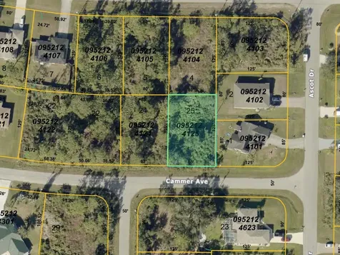 Cammer Avenue North Port FL 34291