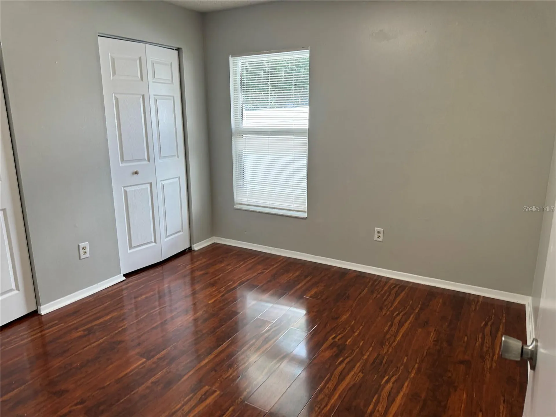 5906 Birchwood Drive Tampa FL 33625