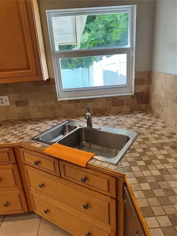5906 Birchwood Drive Tampa FL 33625