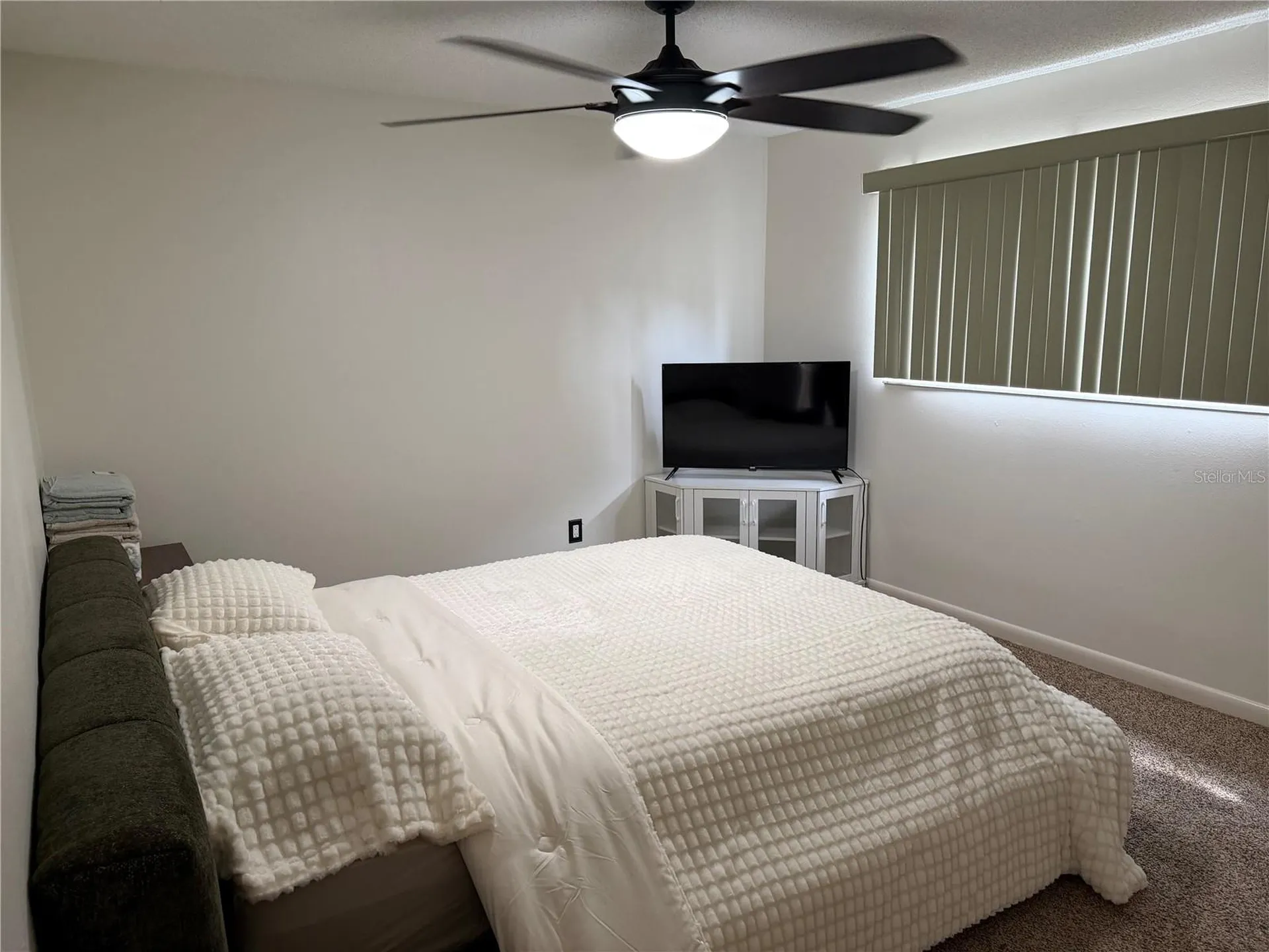 10485 Carrollbrook Circle Tampa FL 33618