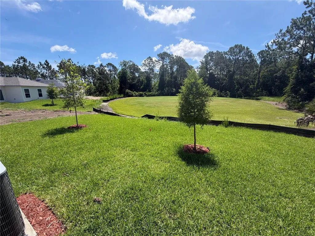 5 Mulligan Way Bunnell FL 32110
