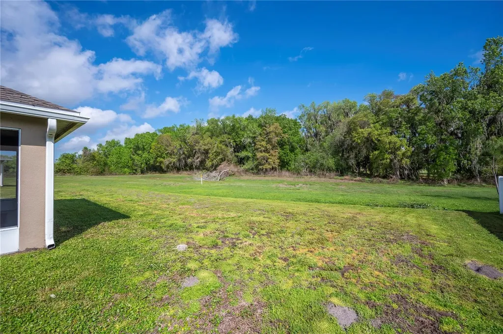 1882 Creeks Vista Boulevard Lakeland FL 33810