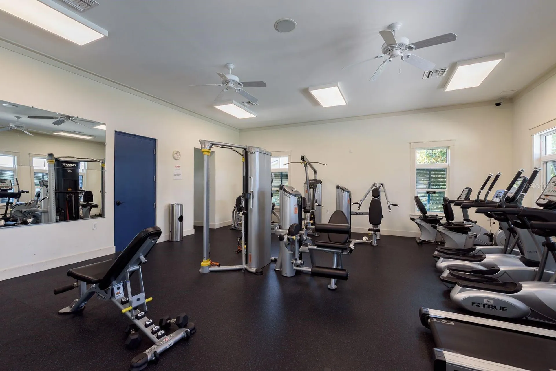 1008 Mango Court Oldsmar FL 34677