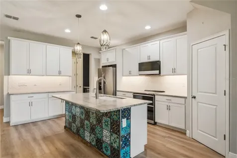 1008 Mango Court Oldsmar FL 34677
